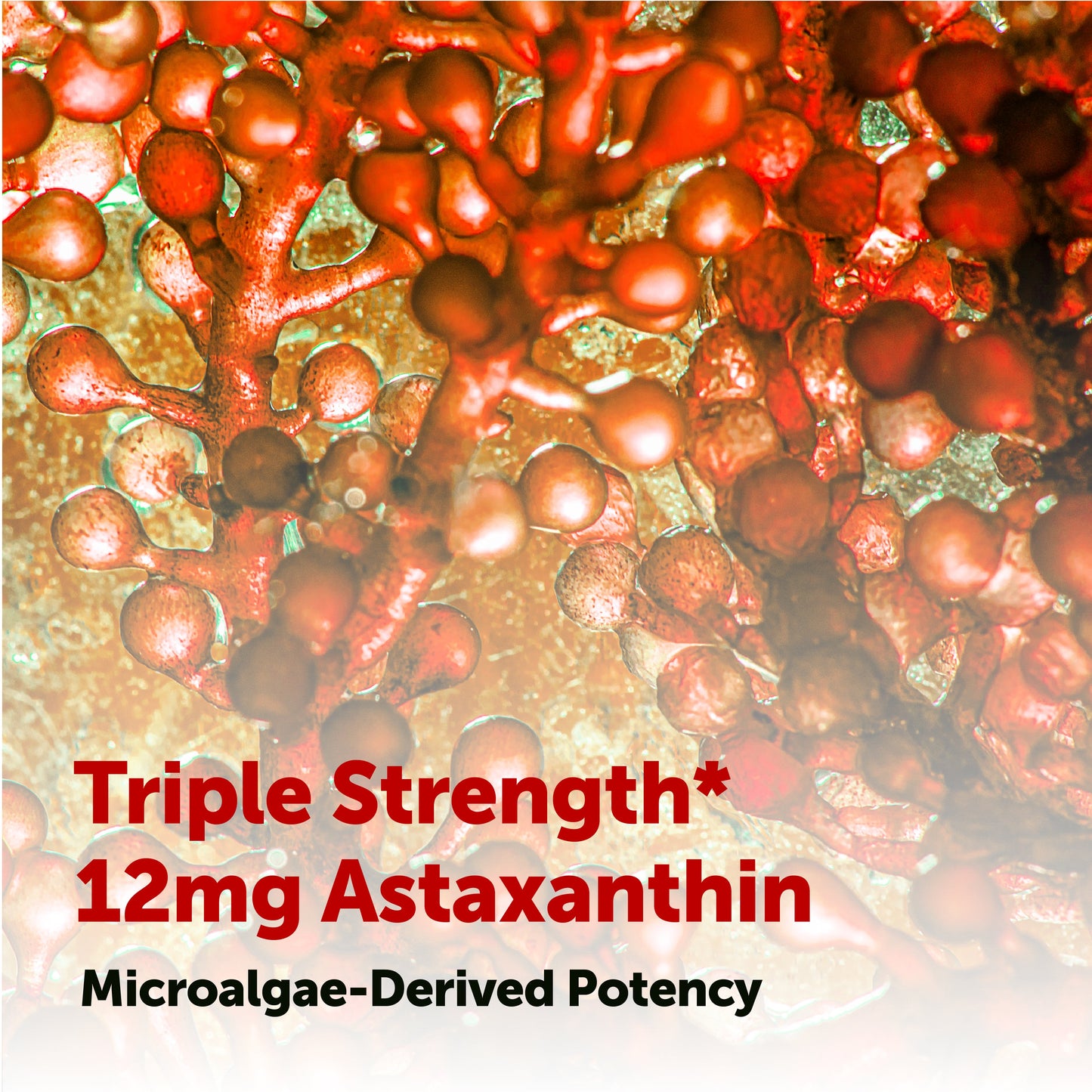 🔴 ZenVentra™ Astaxanthin 12mg